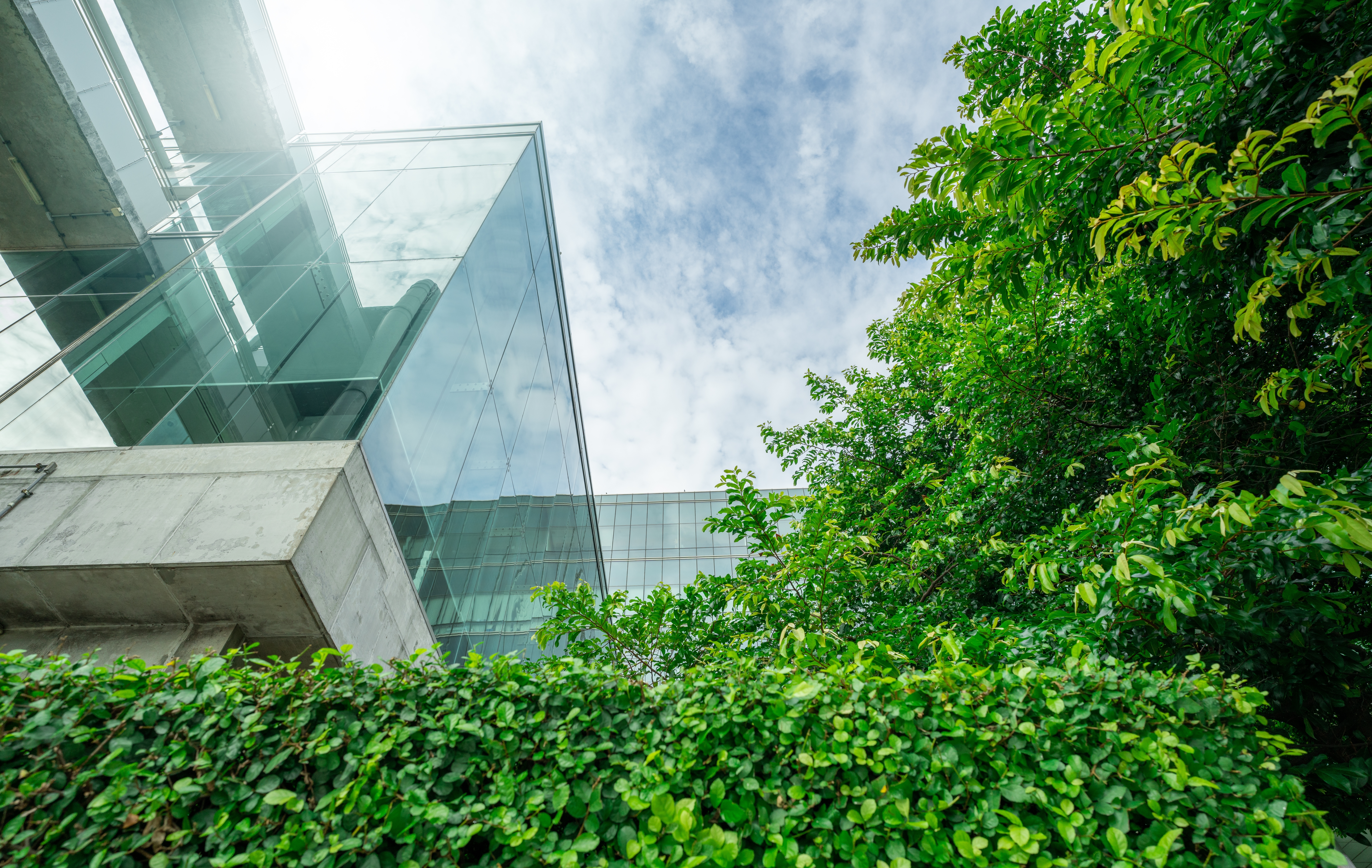 Buildings with greens and sky